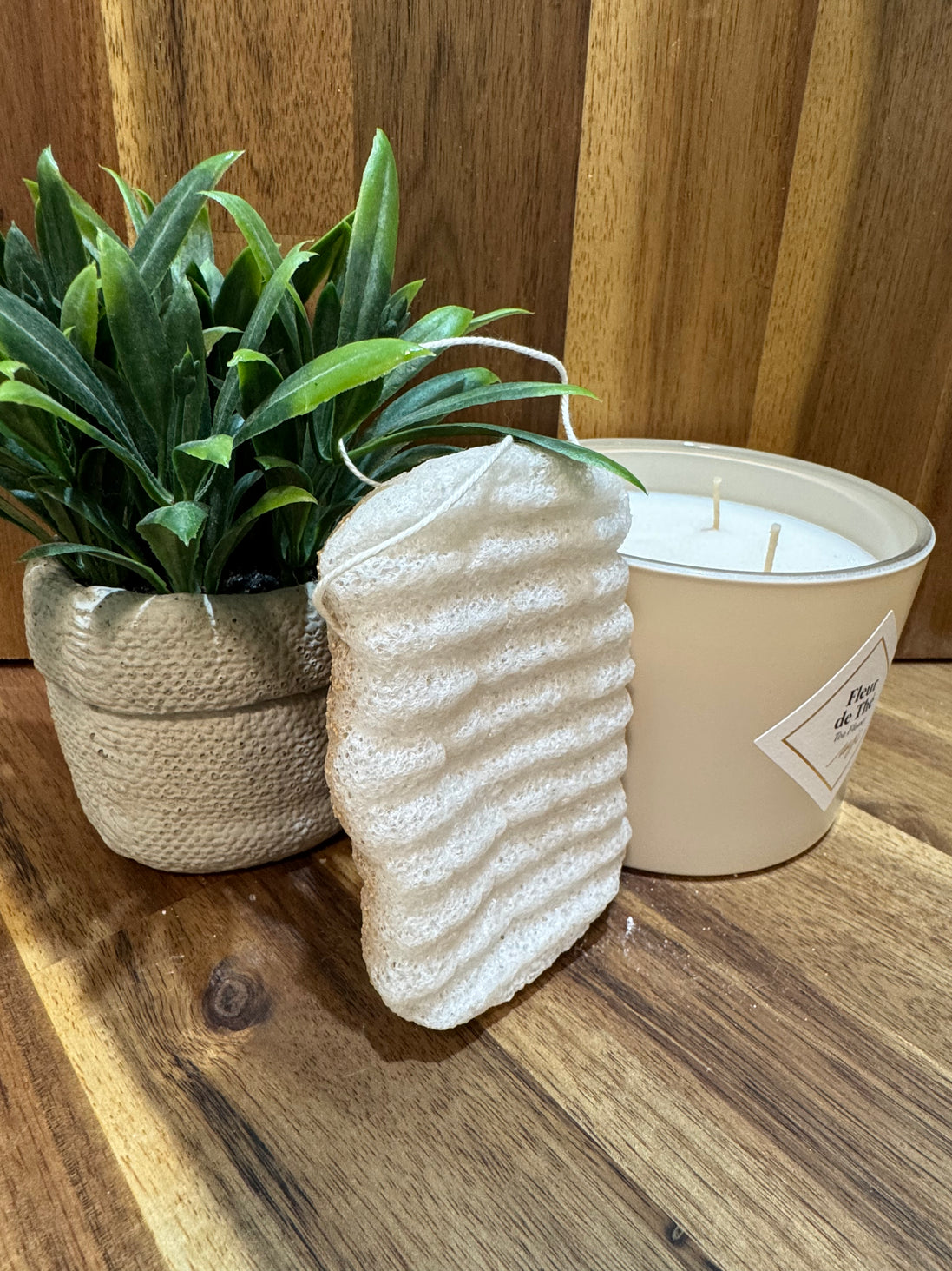 Éponge konjac XL corps Nature et brisure de noix
