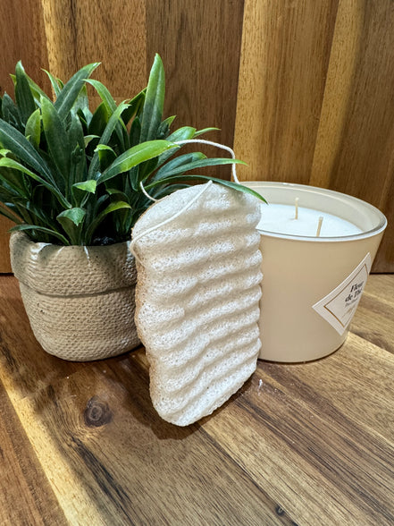 Éponge konjac XL corps Nature et brisure de noix