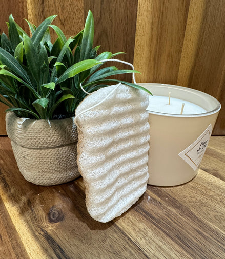 Éponge konjac XL corps Nature et brisure de noix