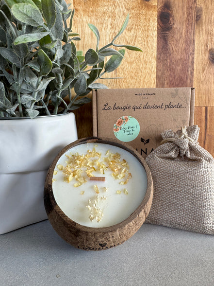 LA BOUGIE QUI DEVIENT PLANTE LOTUS BLANC-COTON
