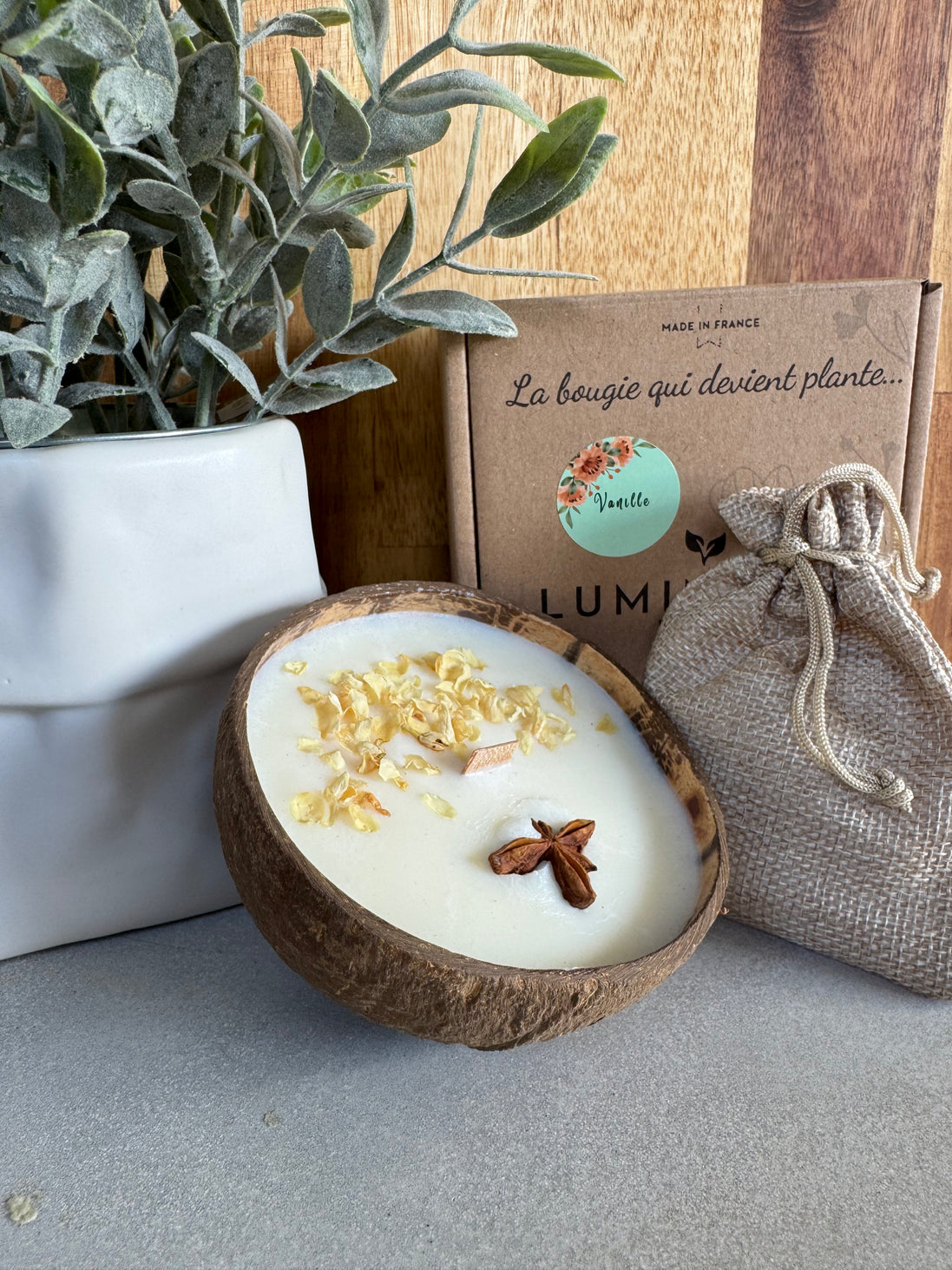 LA BOUGIE QUI DEVIENT PLANTE VANILLE