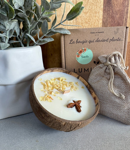 LA BOUGIE QUI DEVIENT PLANTE VANILLE